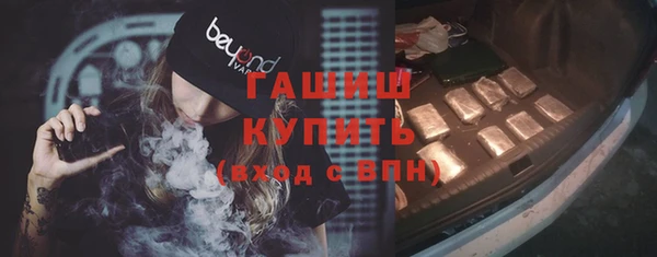 индика Алзамай