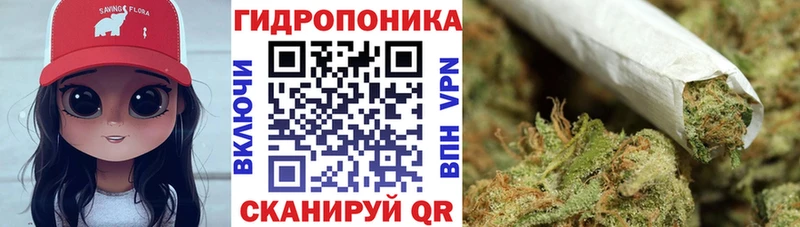 Бошки марихуана VHQ  где купить наркоту  KRAKEN ONION  Темрюк 
